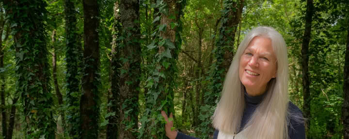 Kate Hawley - Reiki integraatiota varten
