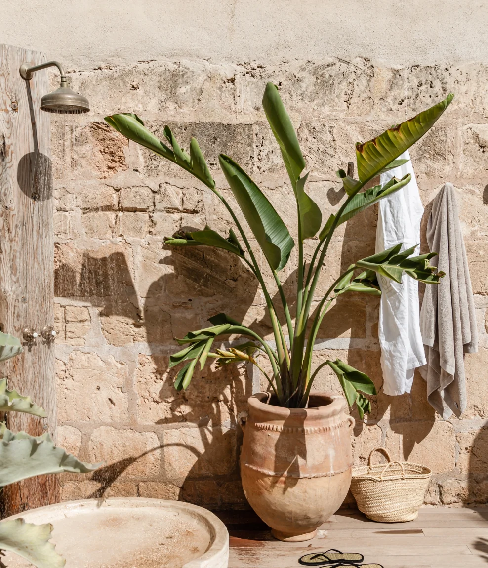 Välimeren virtaus: Joogaa meren rannalla Mallorcalla Stephanien Phelanin kanssa
