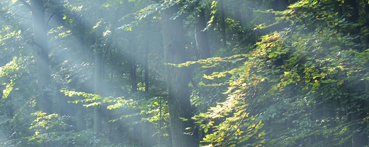 Maan naisen alastonjooga- ja meditaatioretriitti