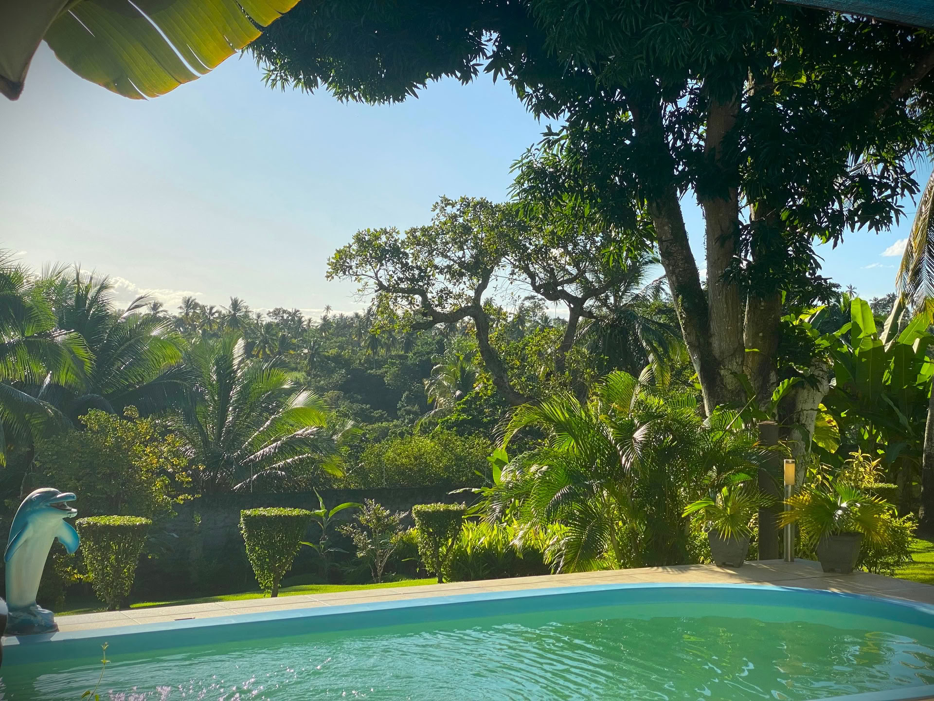 Surffileiri Bahiassa, Brasiliassa