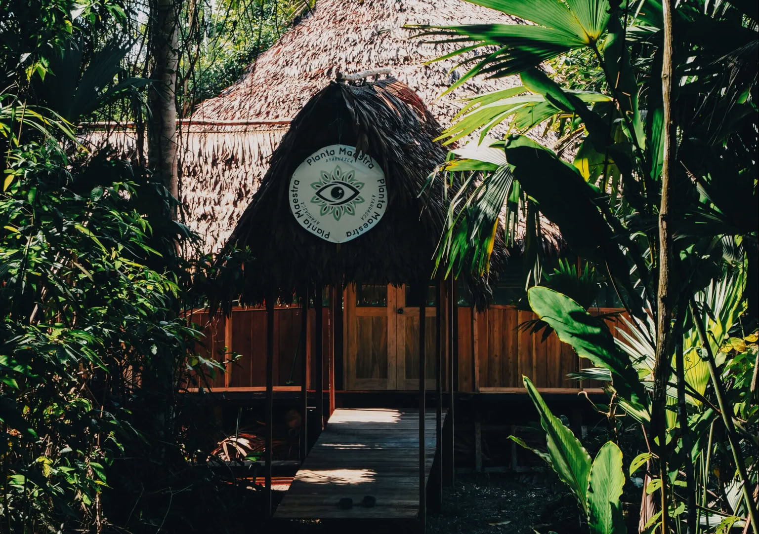 7 päivän ayahuasca-initiaatio