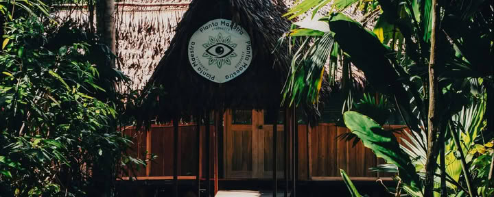 7 päivän ayahuasca-initiaatio