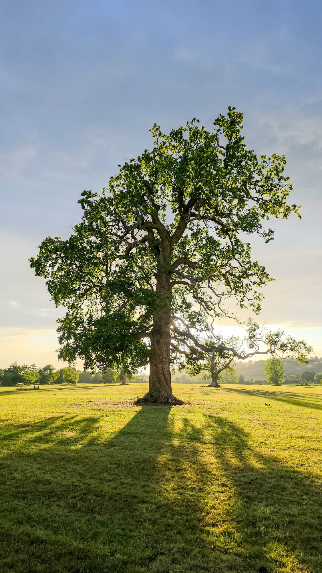 Vipassana-näkemysmeditaation retriitti – 31.8.–6.9.