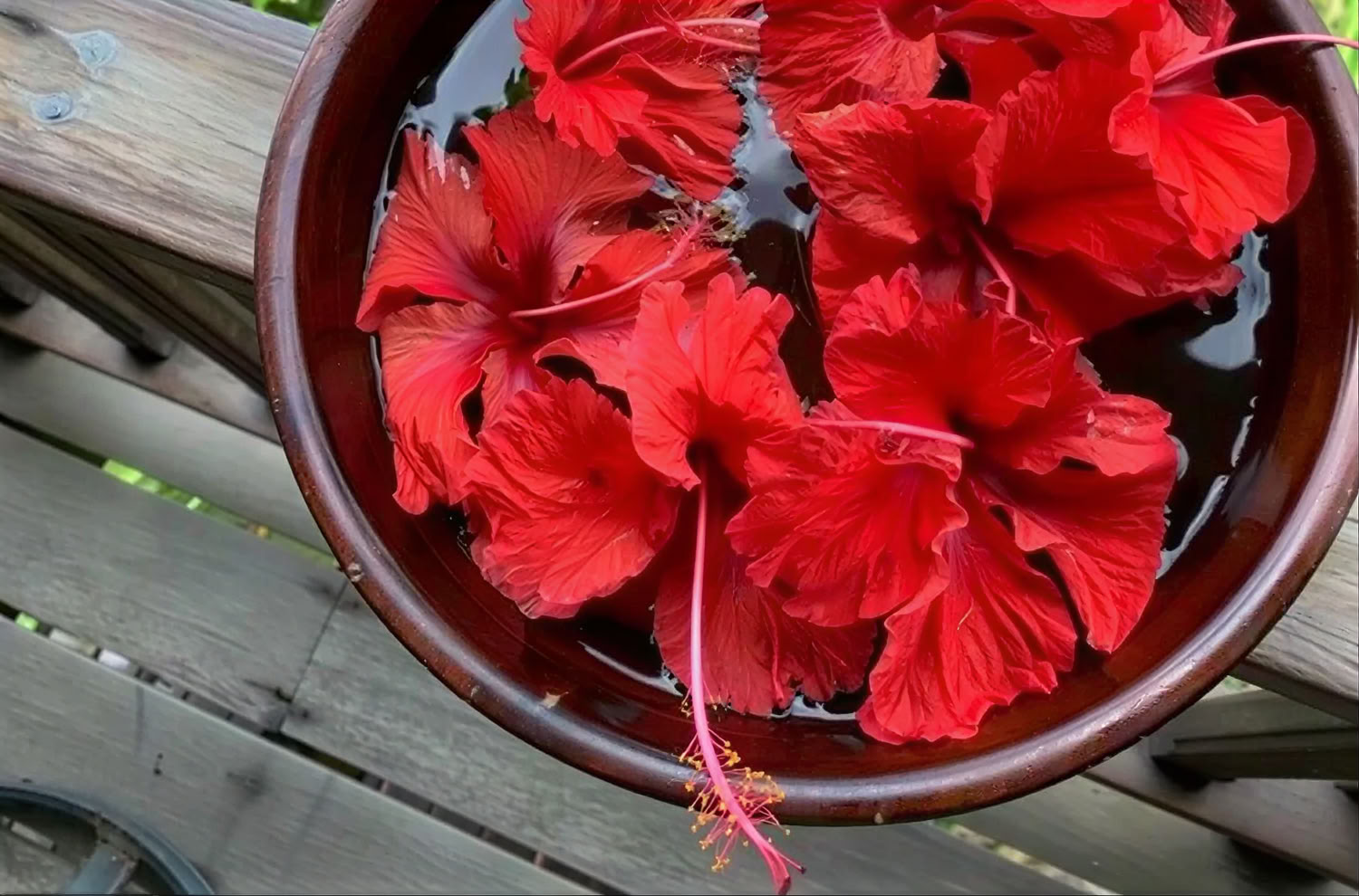 Hyvinvointiretriitin paketti Florecer