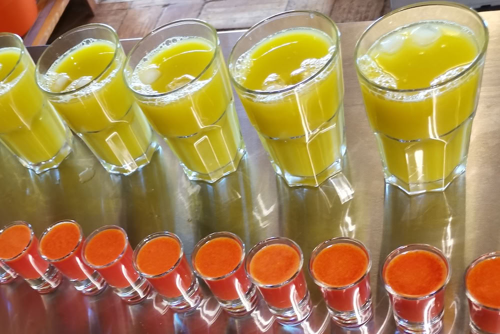 Mehu-detox, jooga- ja hyvinvointiretriitti – 23.12.2026–30.12.2026