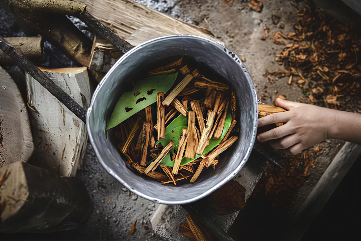 Yksityinen ayahuascaretriitti Andien rituaalein (3 päivää) ayahuascaseremoniaretriitti Andien rituaalein (yksityinen, 3 päivää) 2 ayahuascaseremoniaa