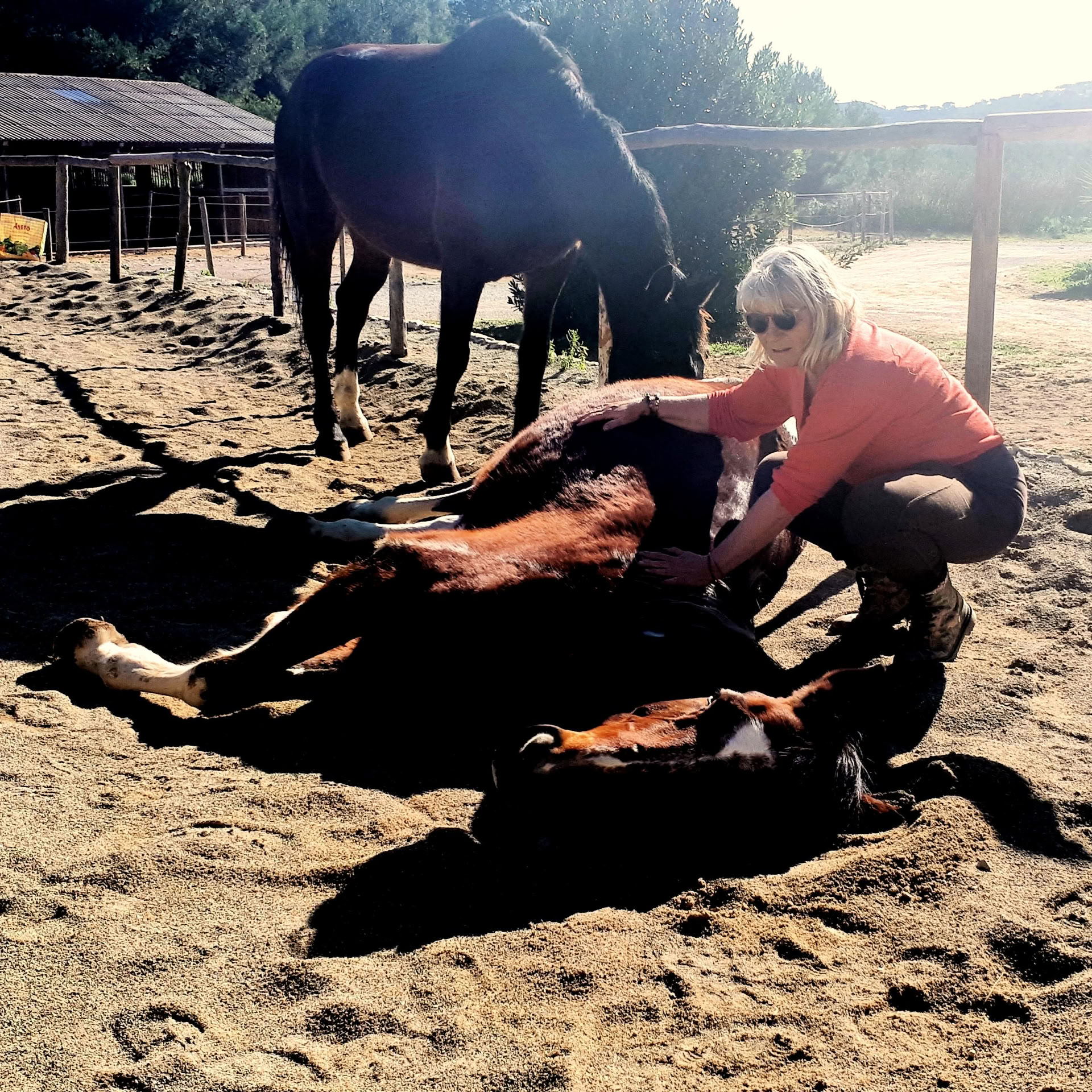 Jooga ja parantuminen hevosten kanssa