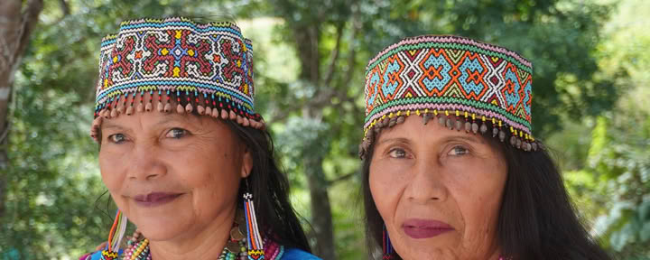 8 päivän | 7 yön traumainformoitu Shipibo-ayahuasca-syventymä
