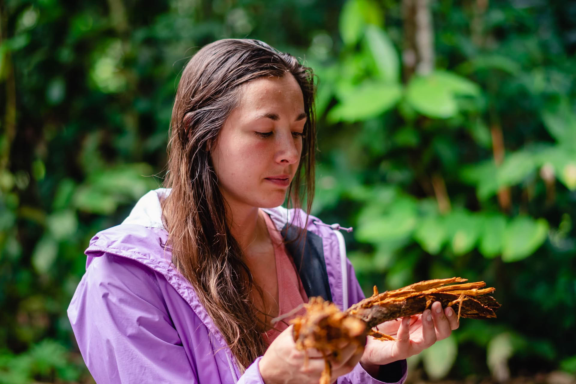 Ayahuasca Heinäkuu 2026 Säteilevän Uudistumisen Retriitti (12 Päivää)