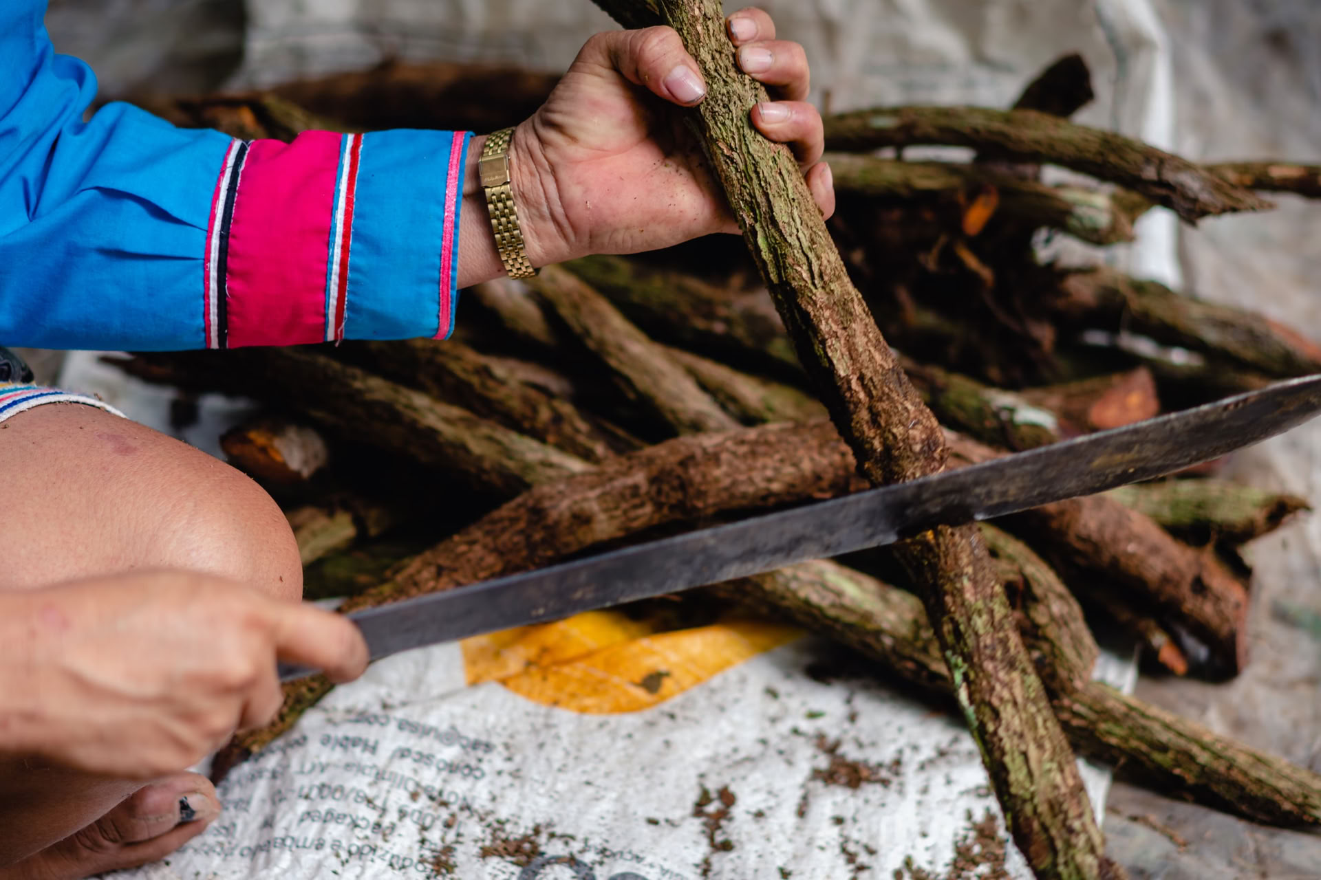 Ayahuasca-elvytysretriitti elokuussa 2026 (12 päivää)