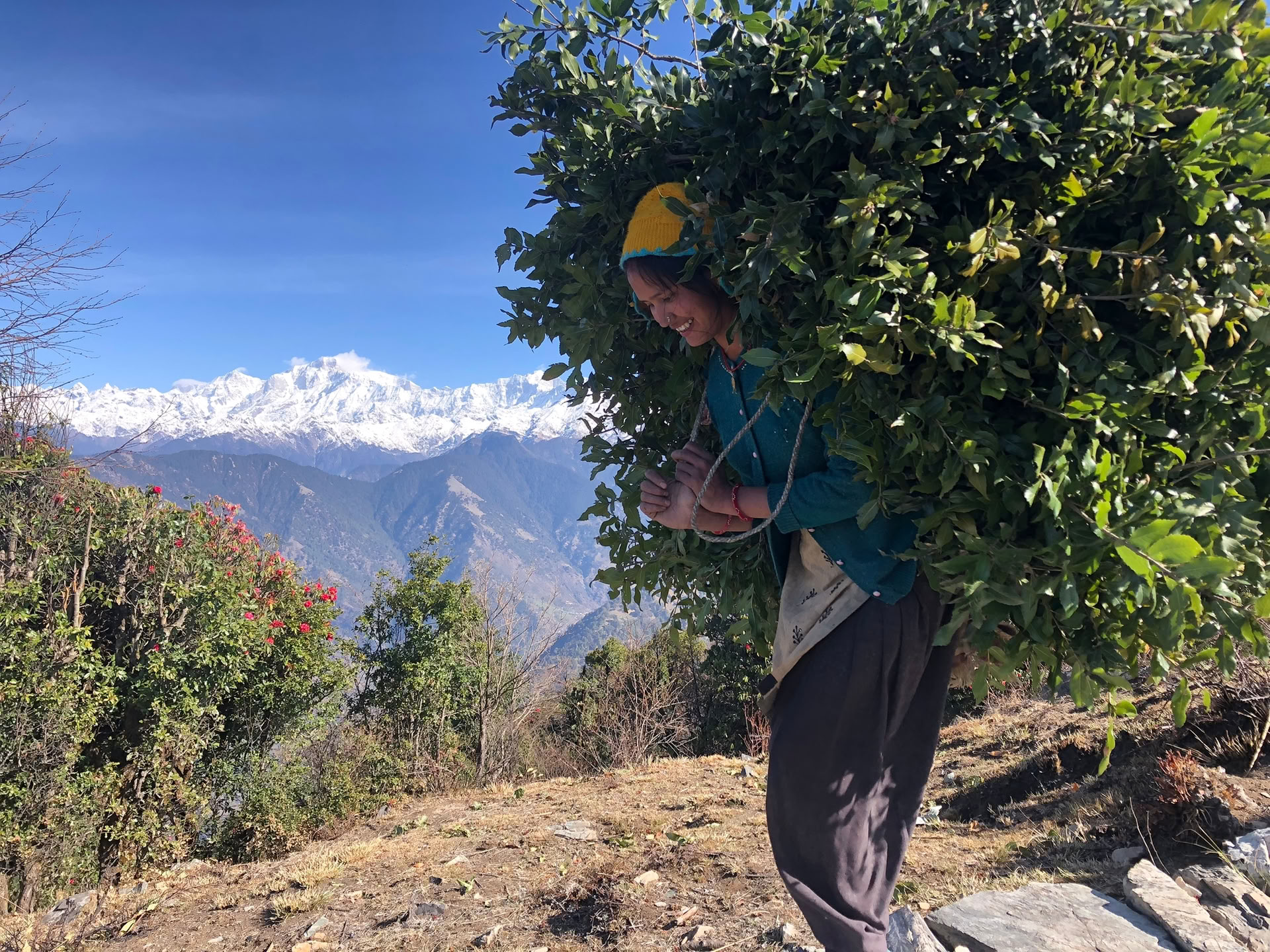 Chopta Tungnath -vaellus