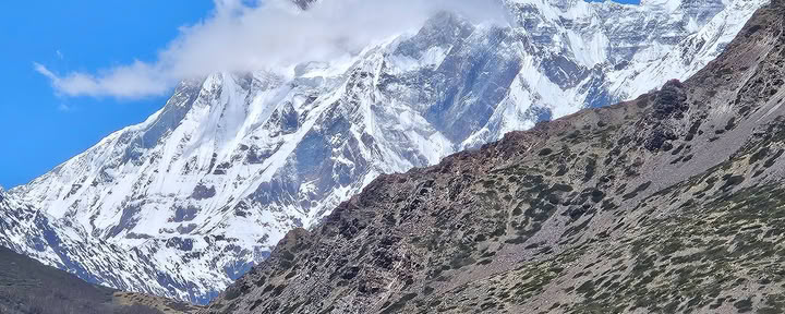 Kuari-solan