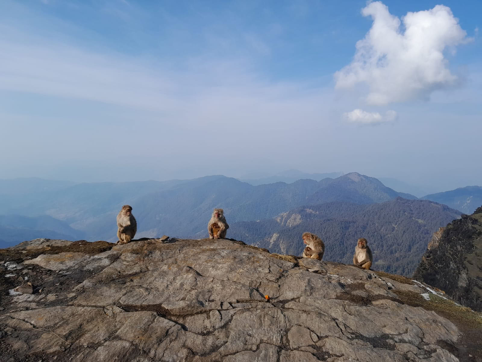 Chopta-Tungnath-vaellus