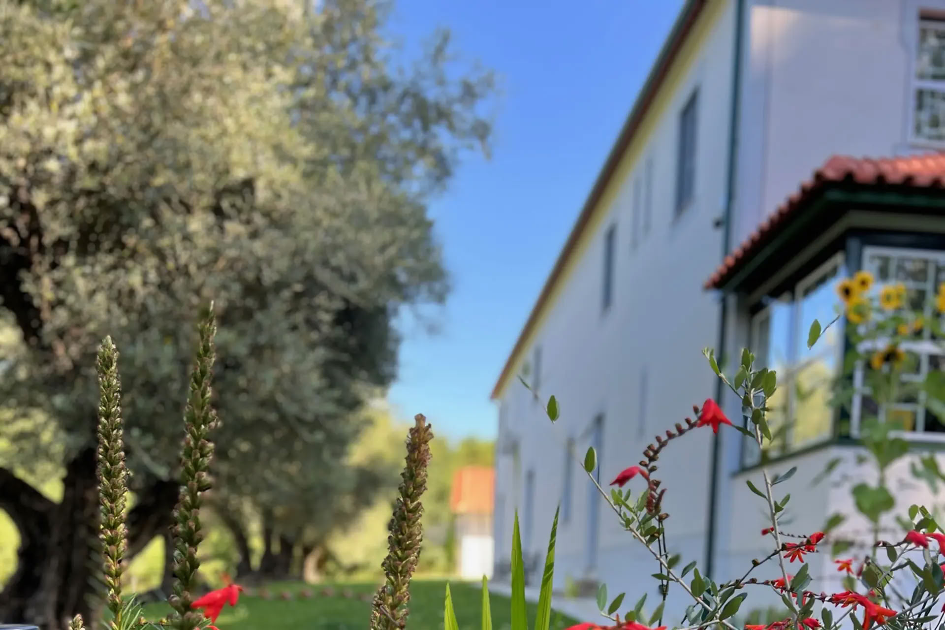 Sadepisaraliike