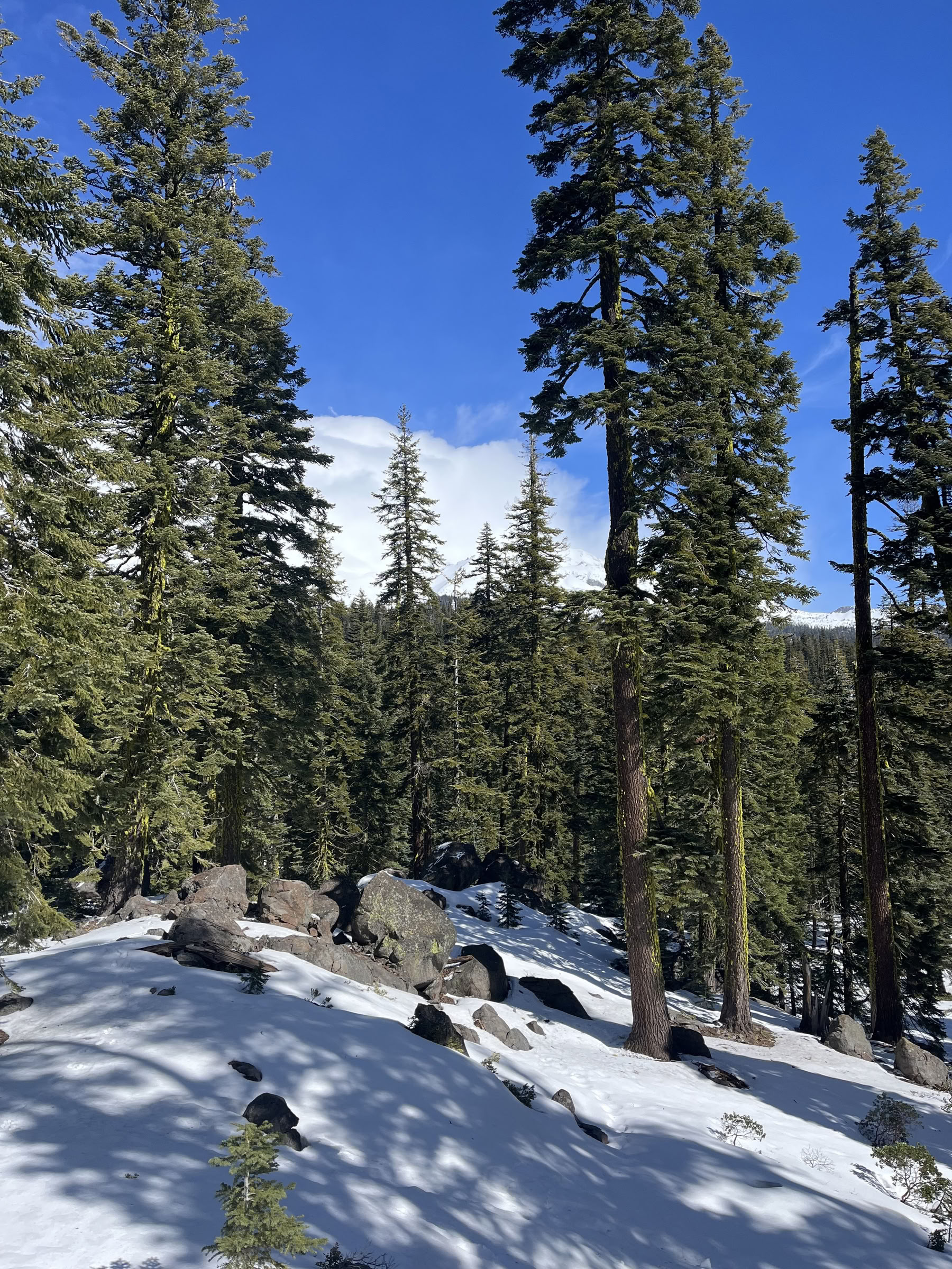 Syvä sisäisen rauhan retriitti: Mt. Shasta, CA