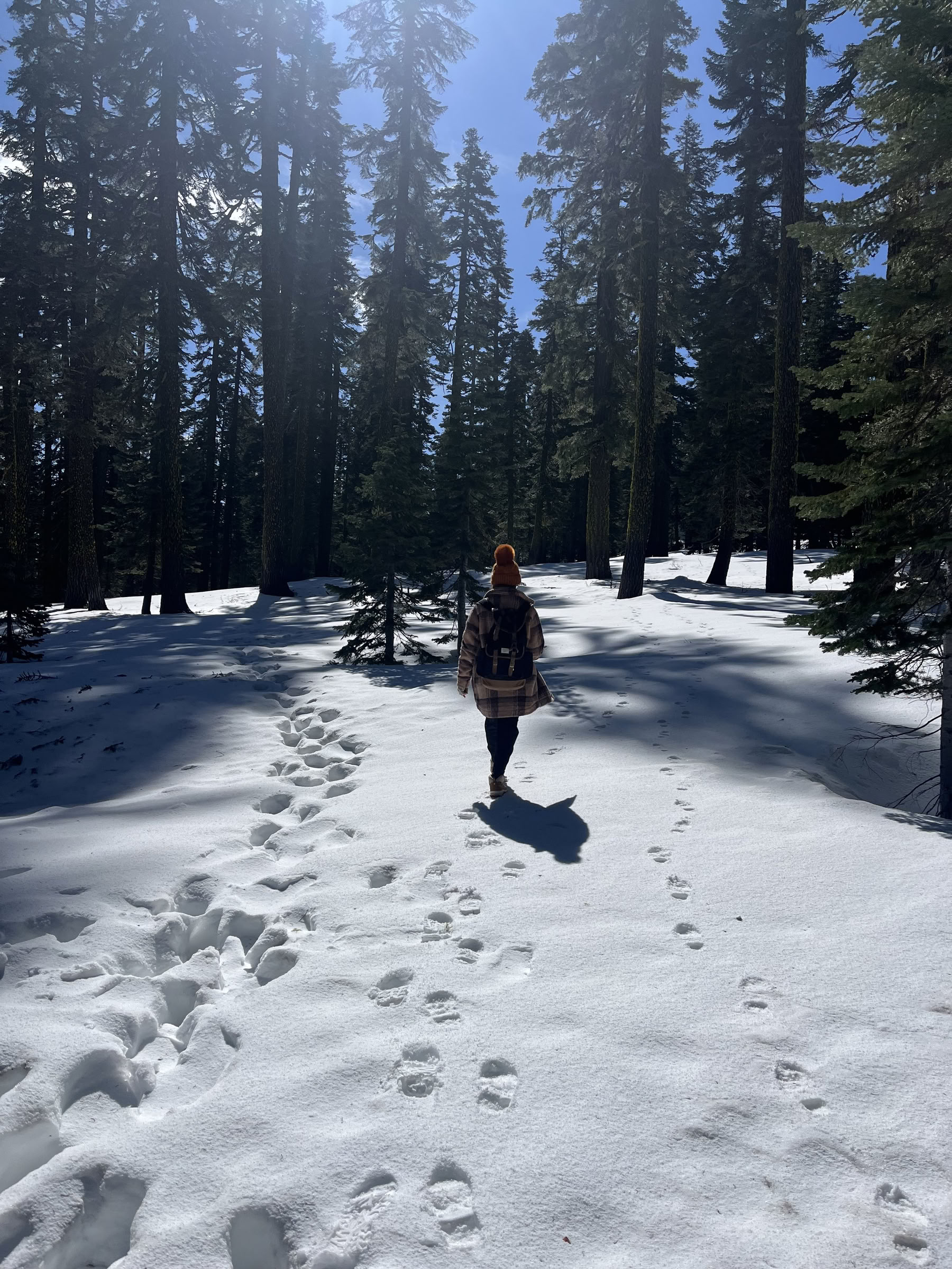 Syvä sisäisen rauhan retriitti: Mt. Shasta, CA