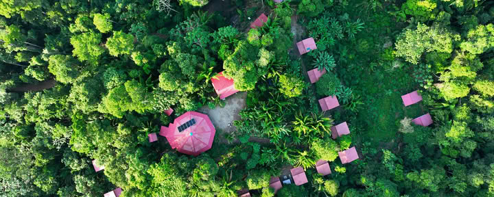 Ayahuasca-retriitti Pucallpassa