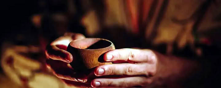 Ayahuasca-retriitti homoille ja LGBTQ+-ihmisille