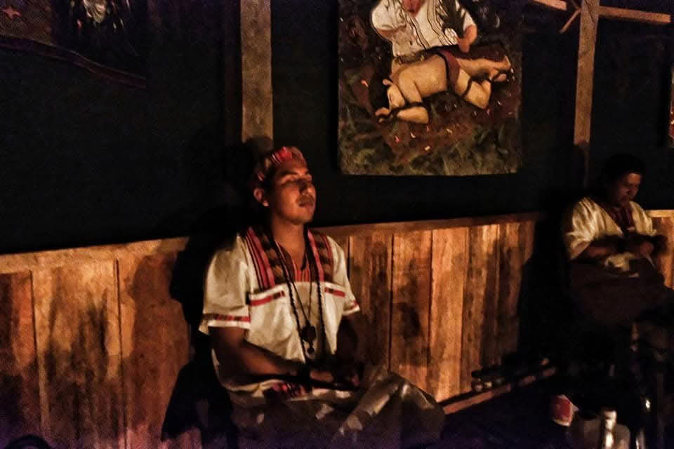 30 päivän ayahuasca-retriitti, 16 seremoniaa ja dieta, Iquitos, Peru