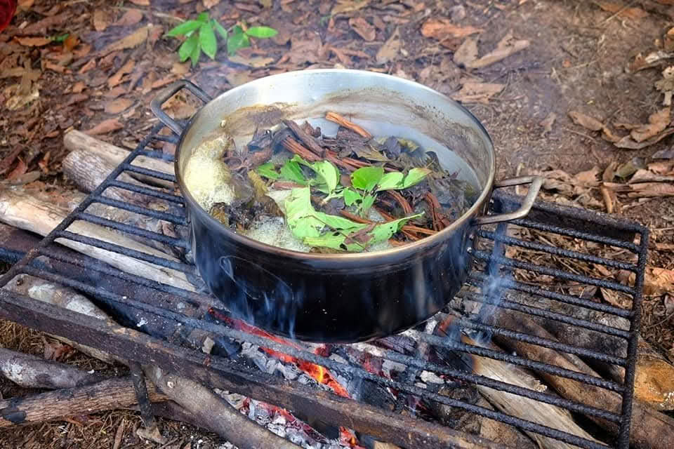 5 päivän ayahuascaretriitti Iquitosissa, Perussa