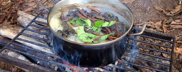 5 päivän ayahuascaretriitti Iquitosissa, Perussa