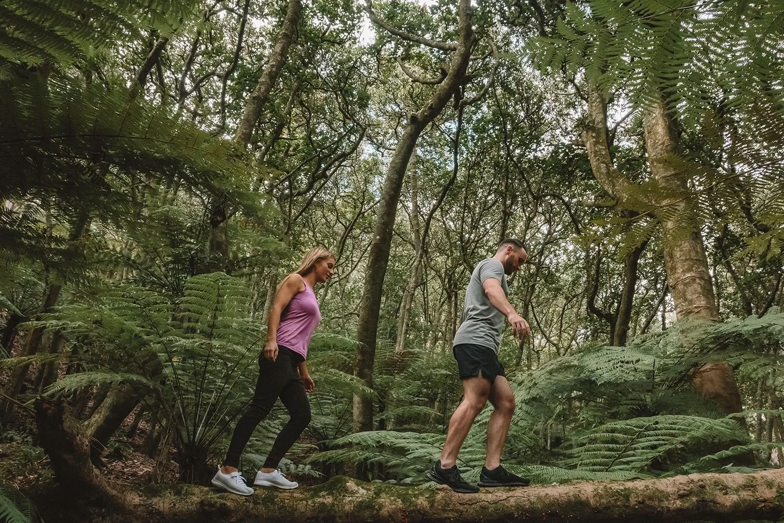 Kuiva vuokraus - KOKO KIINTEISTÖ tai JÄRJESTÄ OMA RETRIITTISI