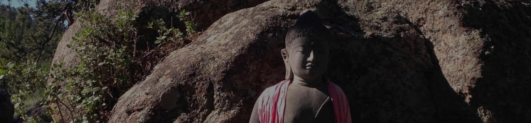 Perusjärjen Julistaminen: Bodhisattvan Polulla