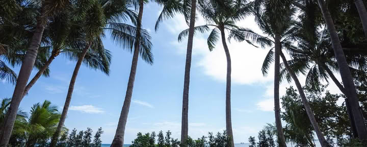 Taianomainen joogaretriitti Samahita Retreatissa, Koh Samuilla, Thaimaassa