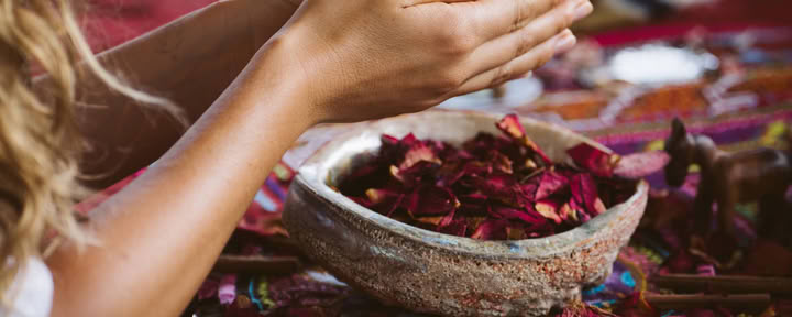 Intiimi ayahuasca-retriitti