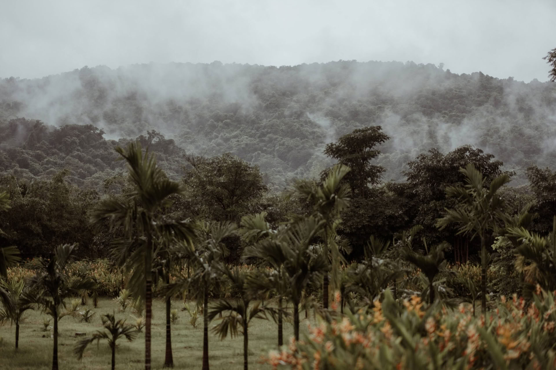 Dimora di Datu Goa – Paluu lähteelle