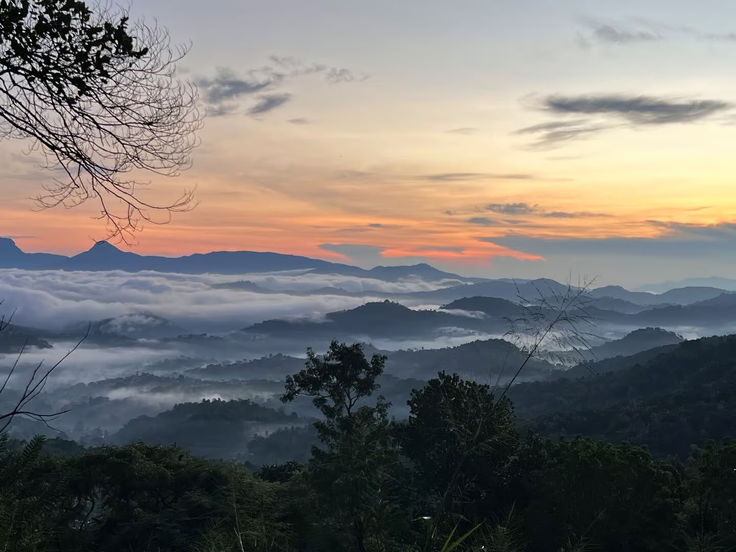 Jooga, matkailu ja ayurveda Sri Lankassa: seikkailu sielulle