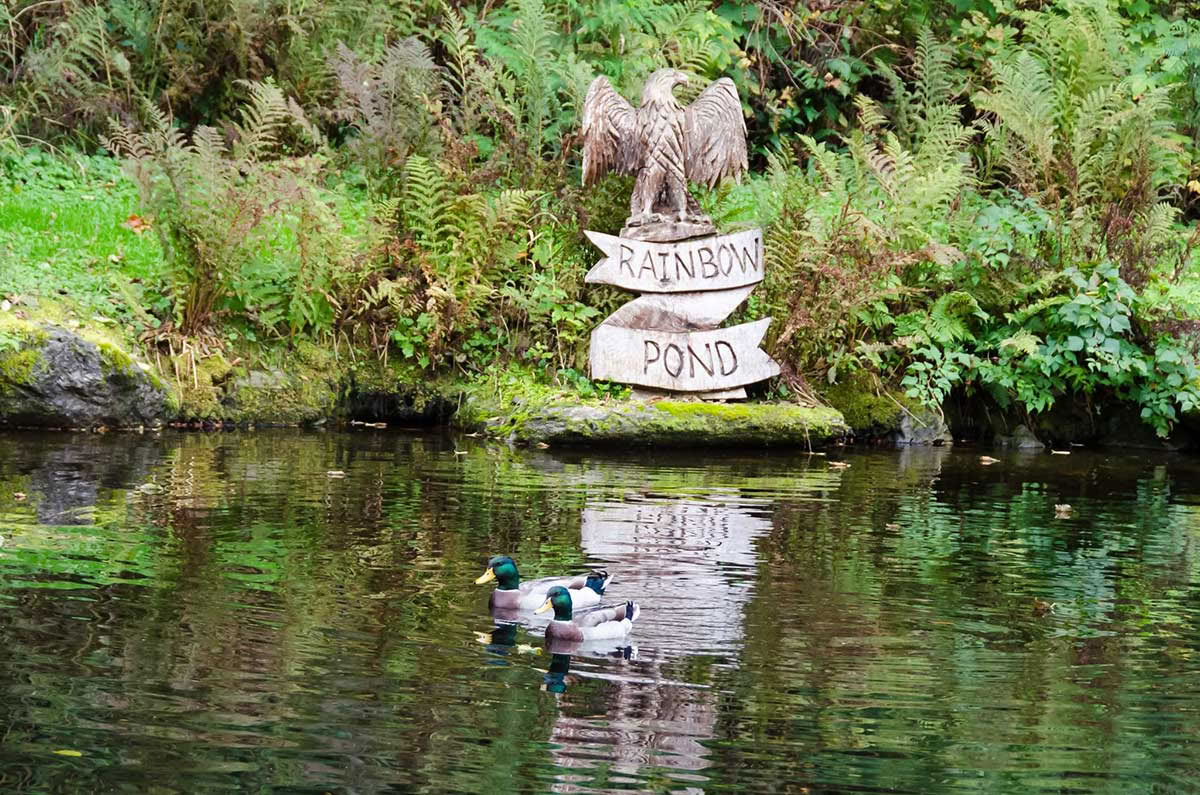 Syyspäiväntasausjooga- ja meditaatioretriitti
