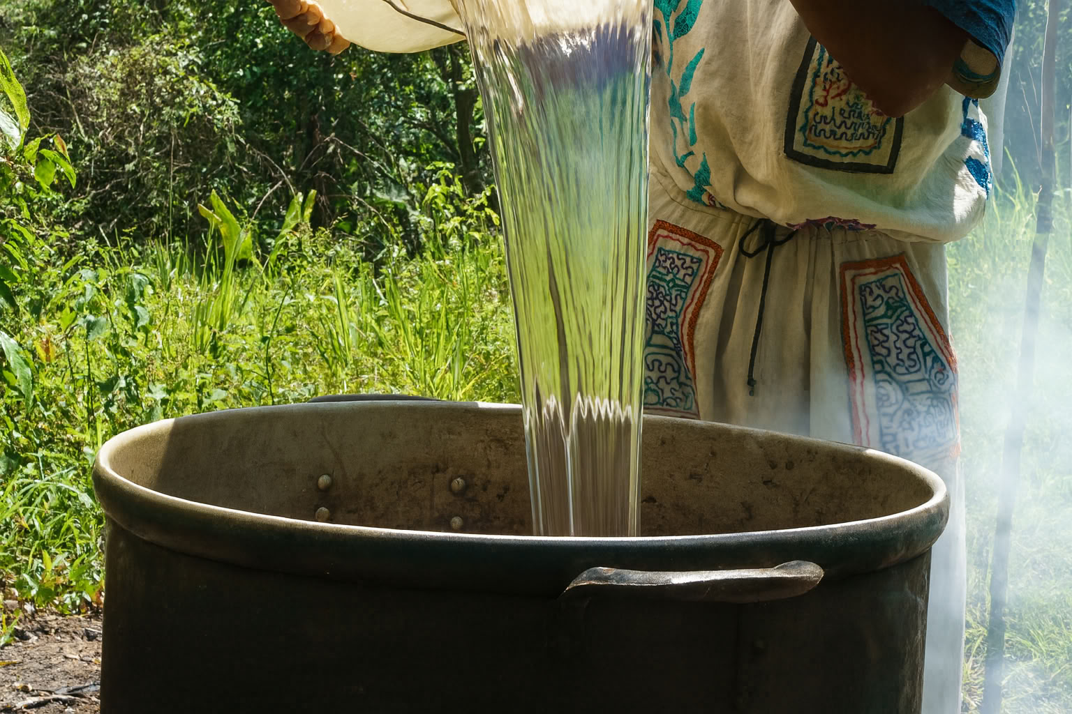 7 päivän ayahuascaretriitti