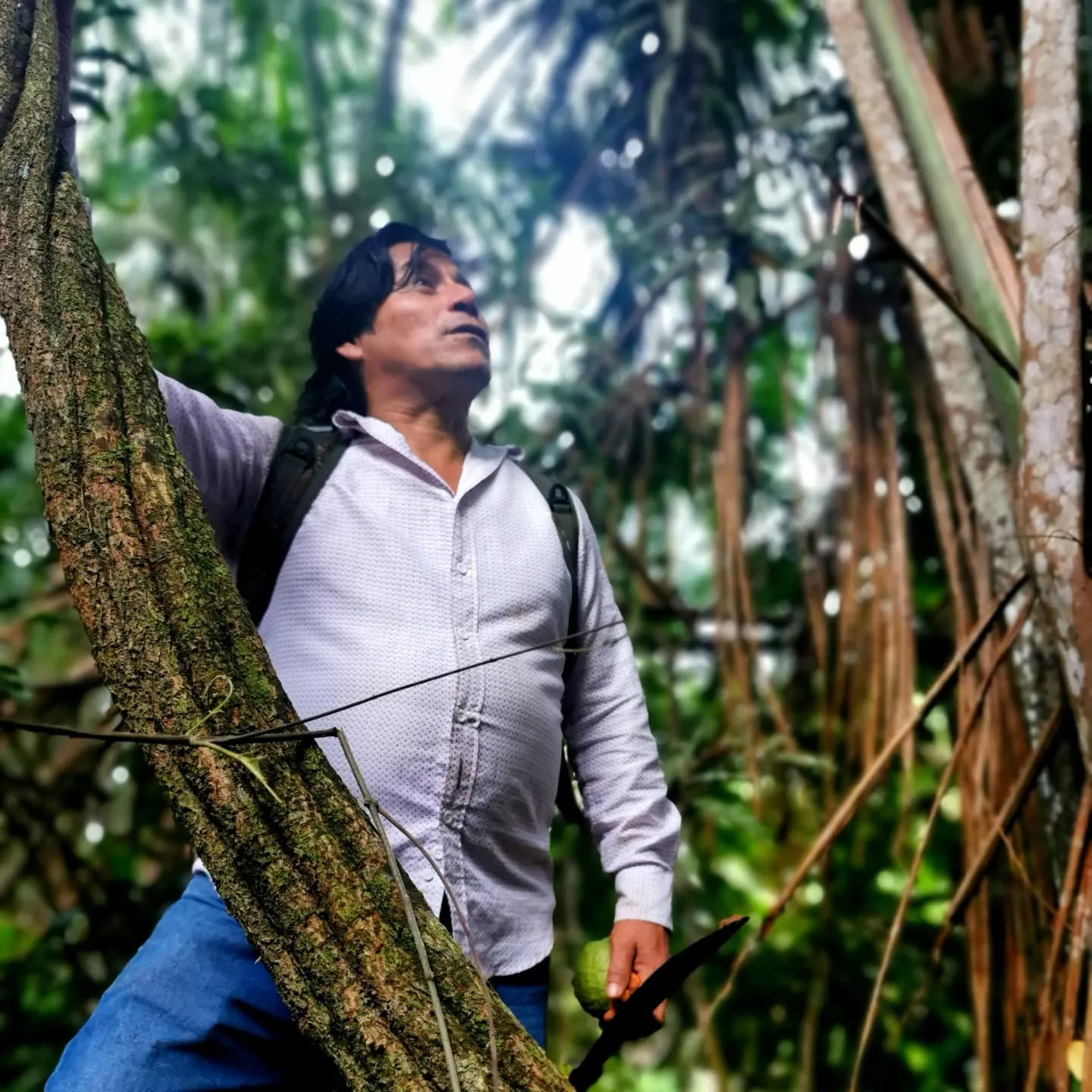 7 päivän ayahuascaretriitti