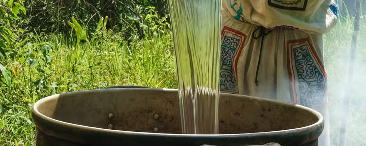 7 päivän ayahuascaretriitti