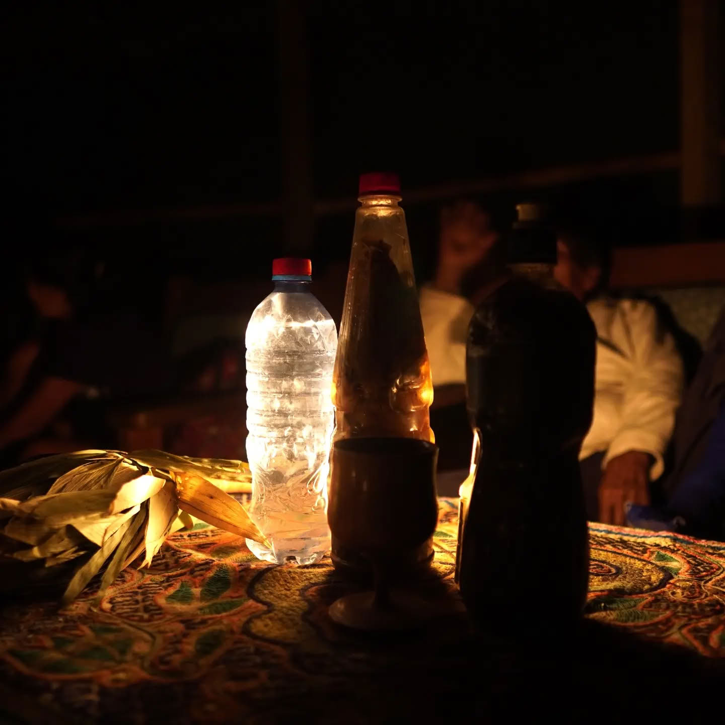 14 päivän ayahuasca-retriitti