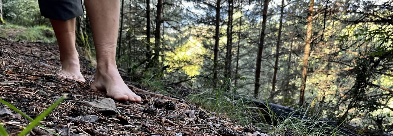 Rauha villissä luonnossa: jooga-, taide- ja luontoretriitti