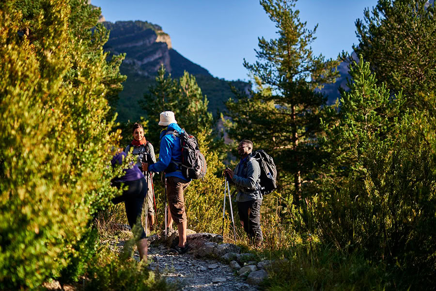 Elämän kunnioitus: jooga-, mindfulness- ja vaellusretriitti