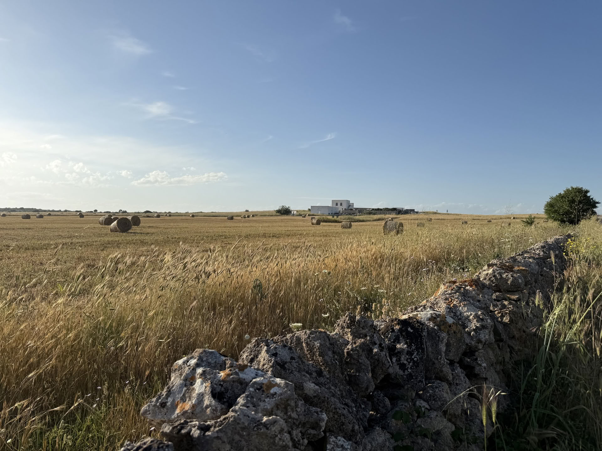 Keskusteluja paikan kanssa: luova residenssi Masseria Speculassa