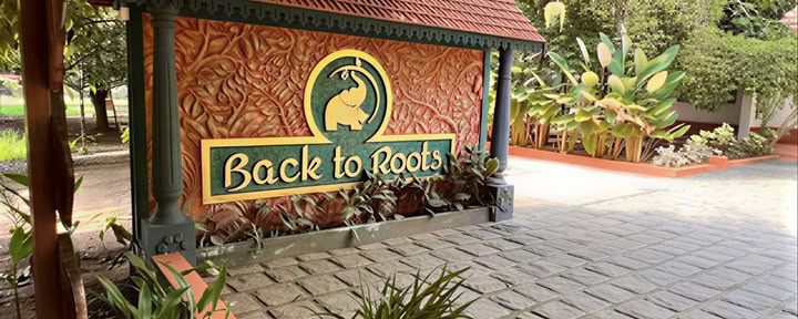 14 yön detox Back to Roots Ayurvedassa