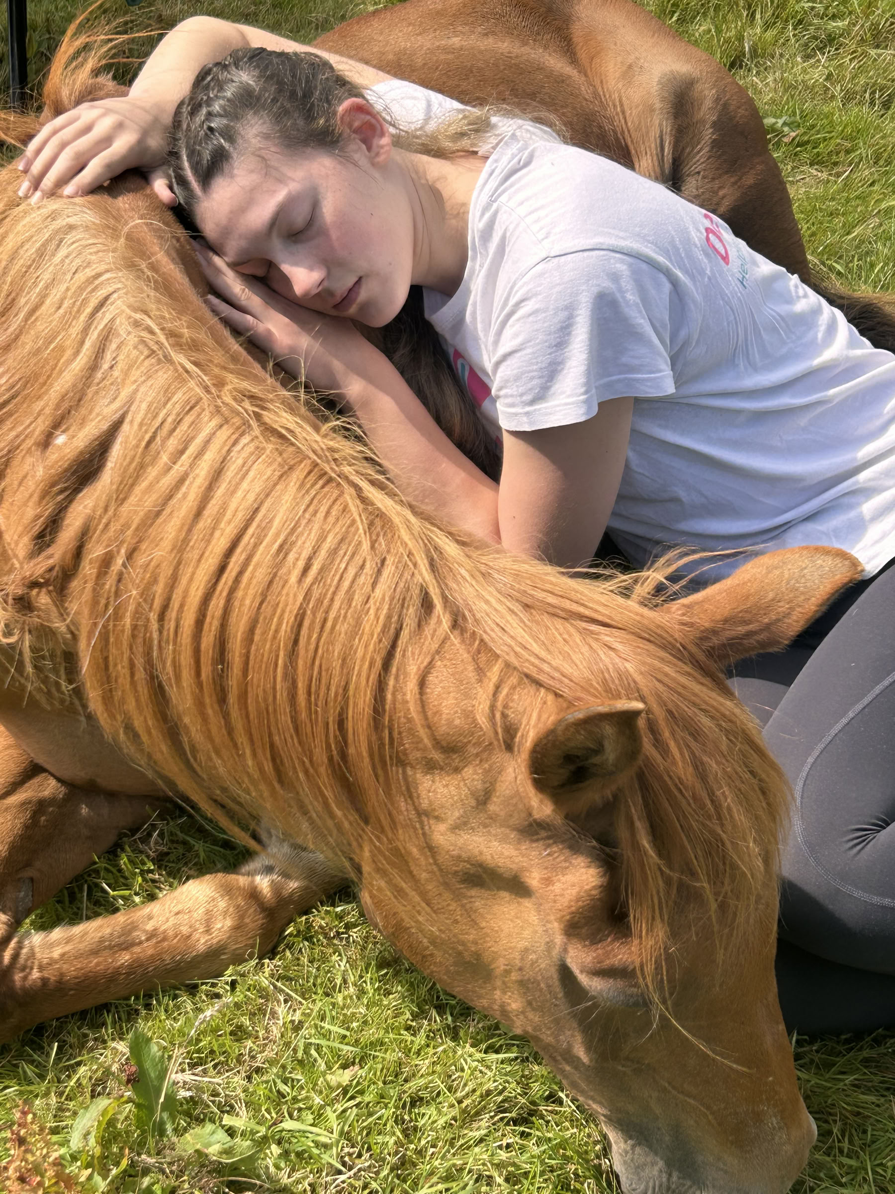 Hiljainen parantuminen hevosten kanssa 18/10/2026 - 23/10/2026