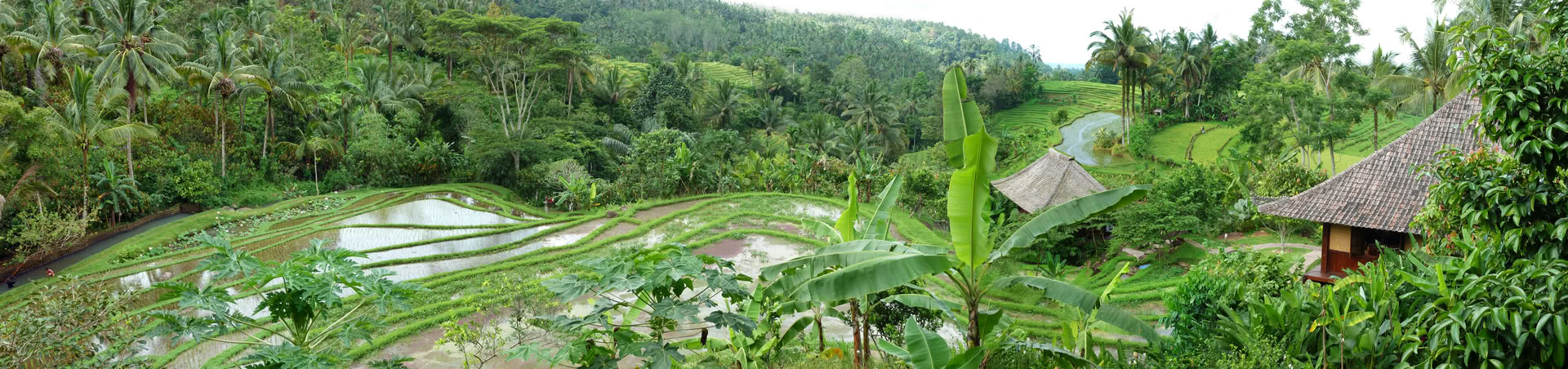 Yksittäinen Bali-tarjous