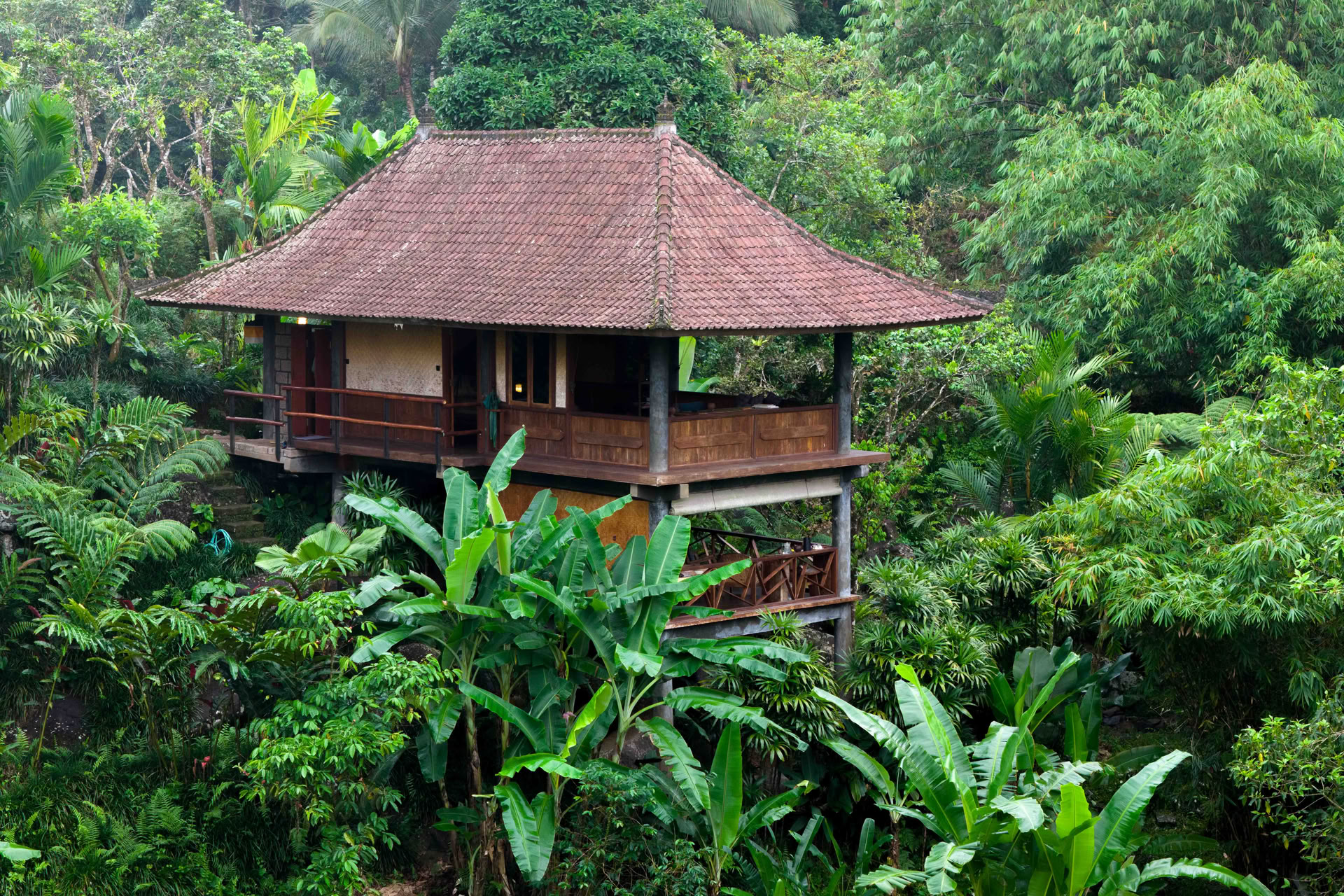 Yksittäinen Bali-tarjous