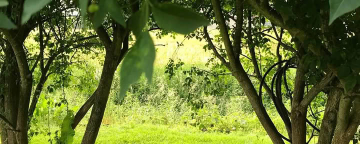 Jooga- ja ayurveda-hormonitasapainoretriitti