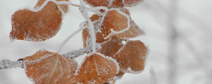 Adventtiretriitti #3
