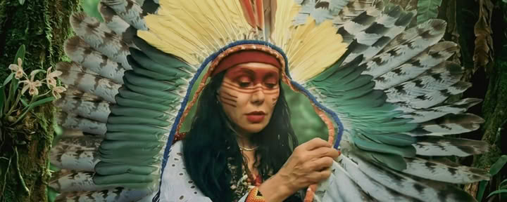 Ayahuasca-seremoniat