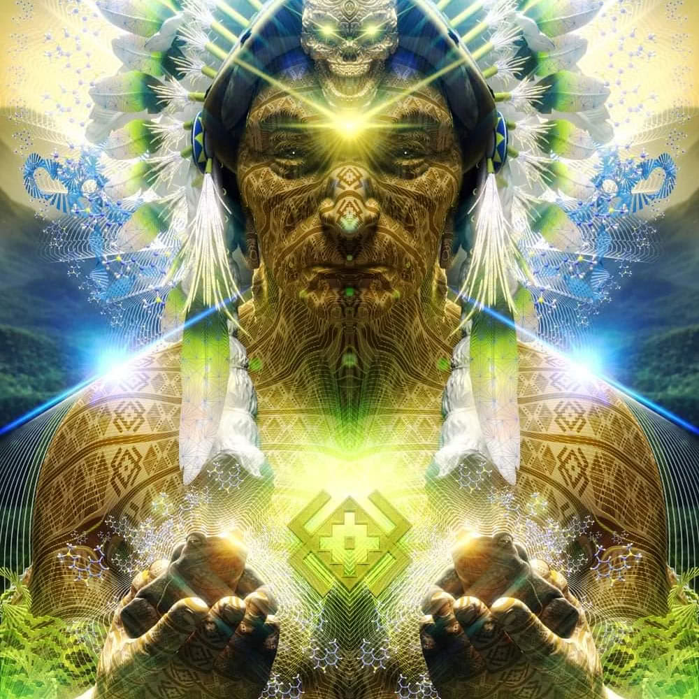Retriitti ayahuaskan ja Bufo alvariuksen kanssa