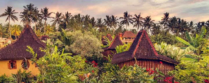 Koko kehon puhdistus