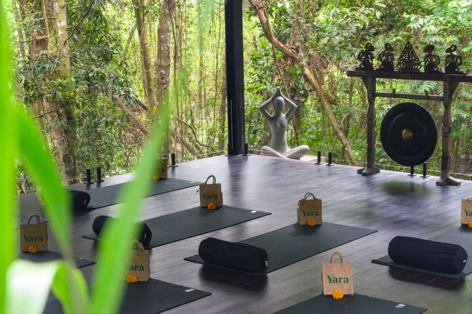 Jooga ja meditaatio