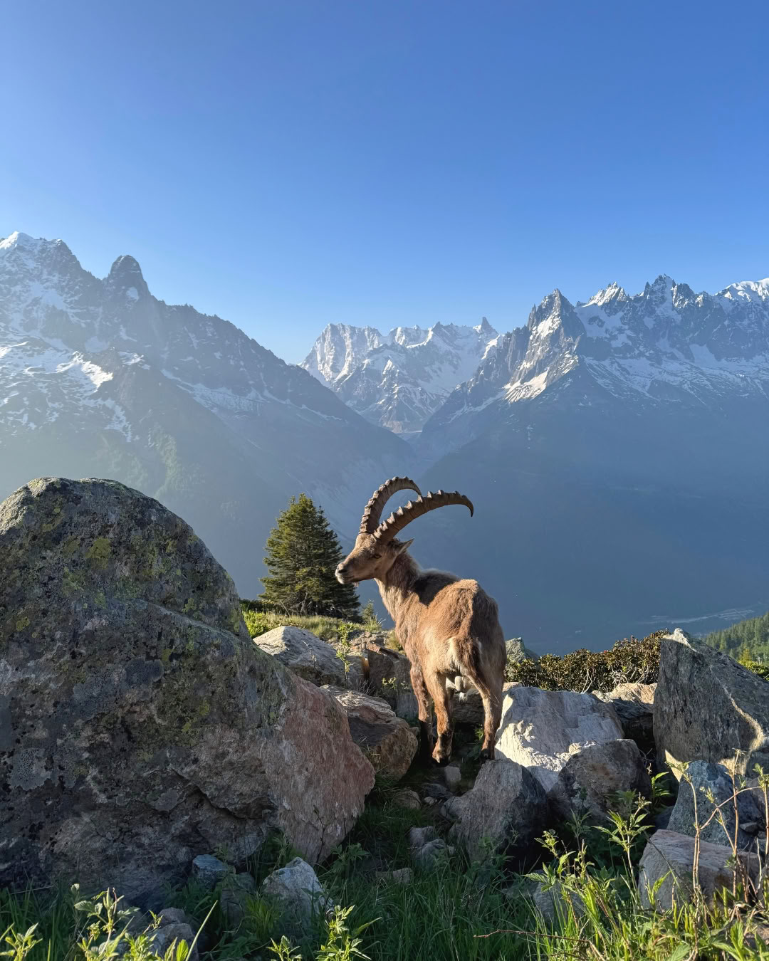 Hengitä ja yhdisty Chamonix’ssa